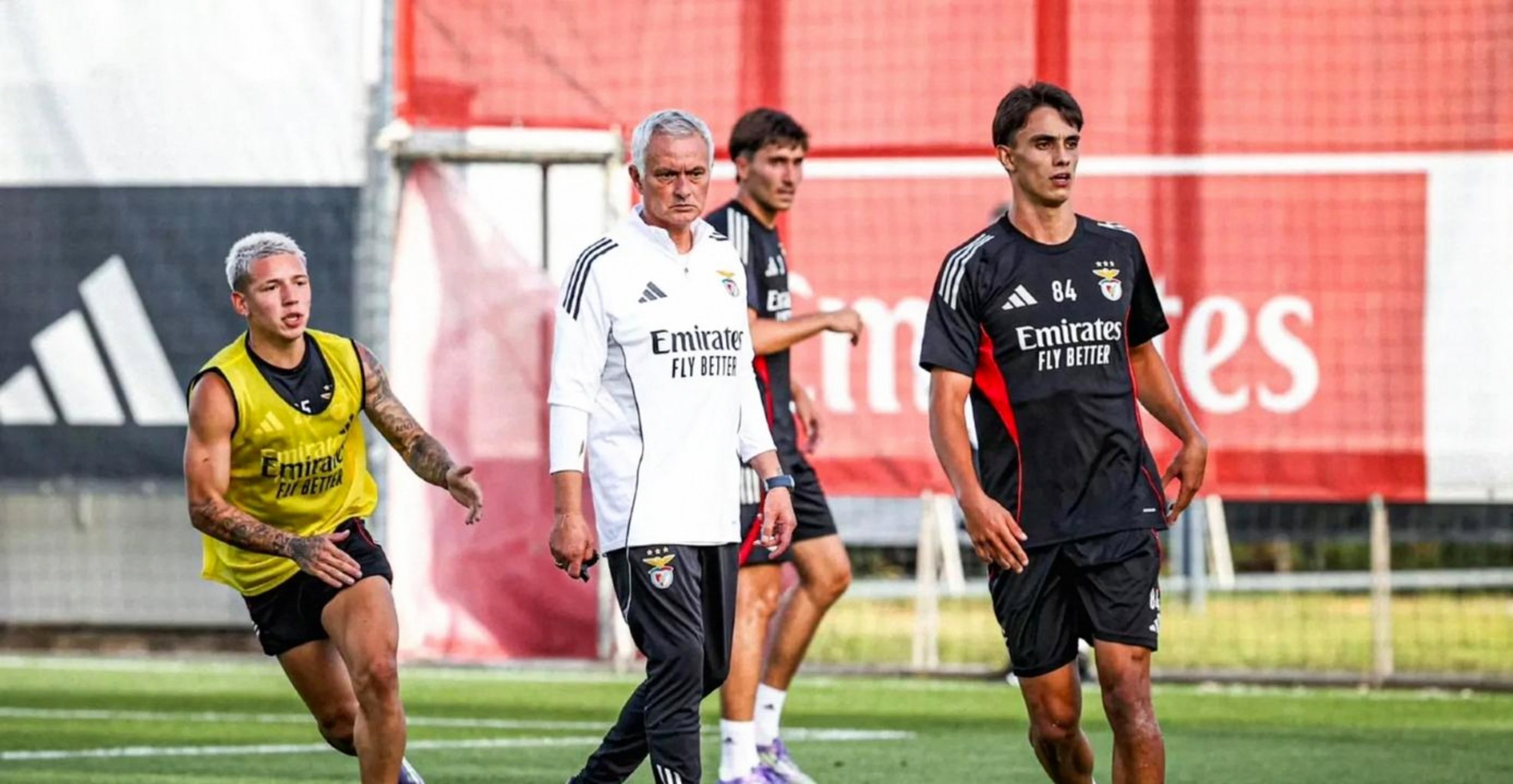 包含赛后葡超传出新动向，本菲卡队长鼓劲，管理层表态：震撼外界，年轻球员得到机会的词条